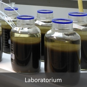 Het LeAF laboratorium